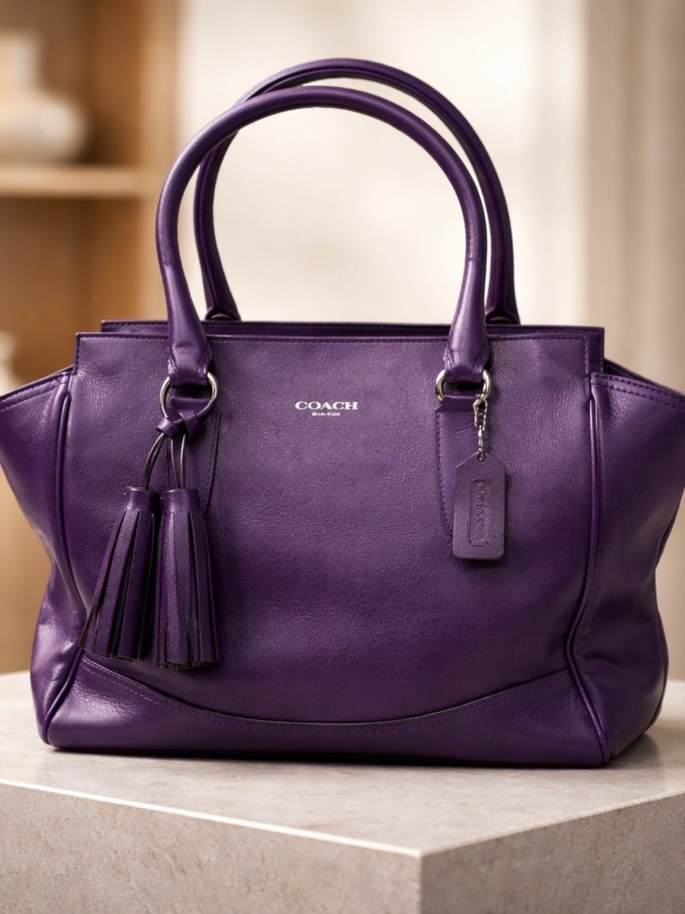 COACH Candace Leather Carry All in Eggplant